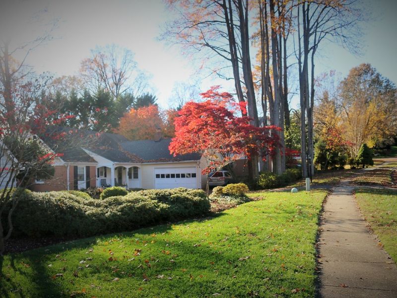 NV Basement Waterproofing Annandale